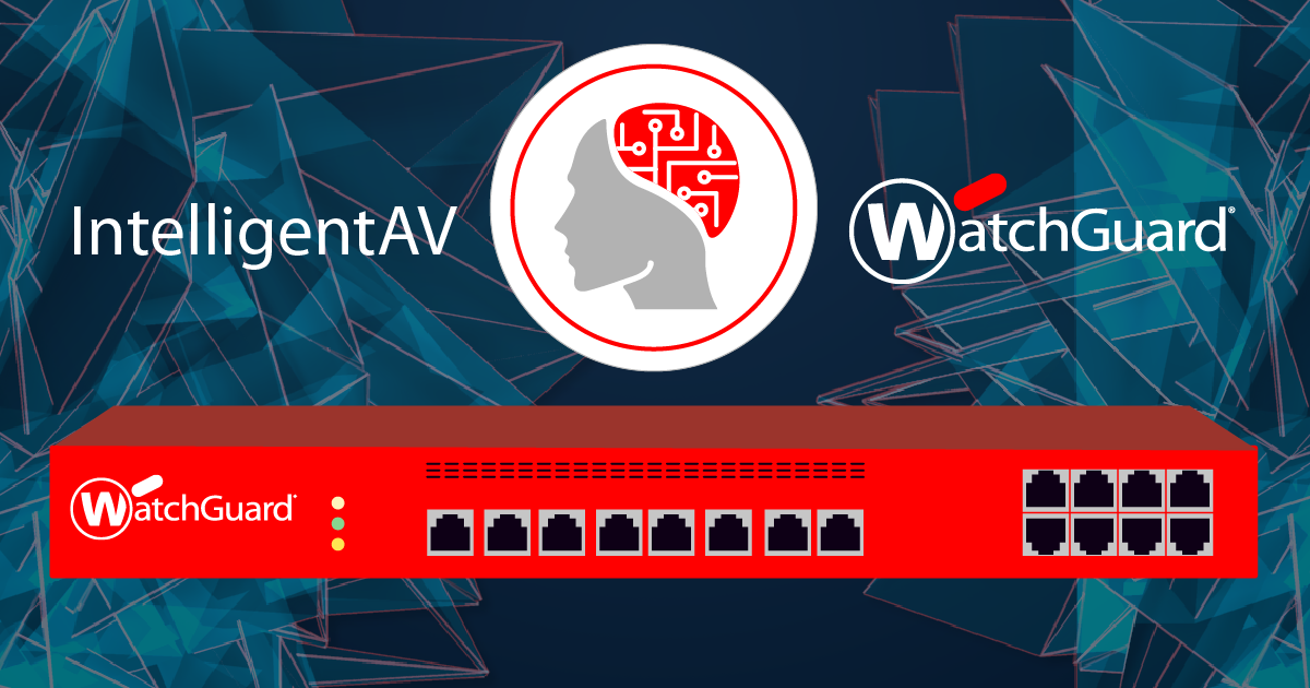 Firewall ciberseguridad